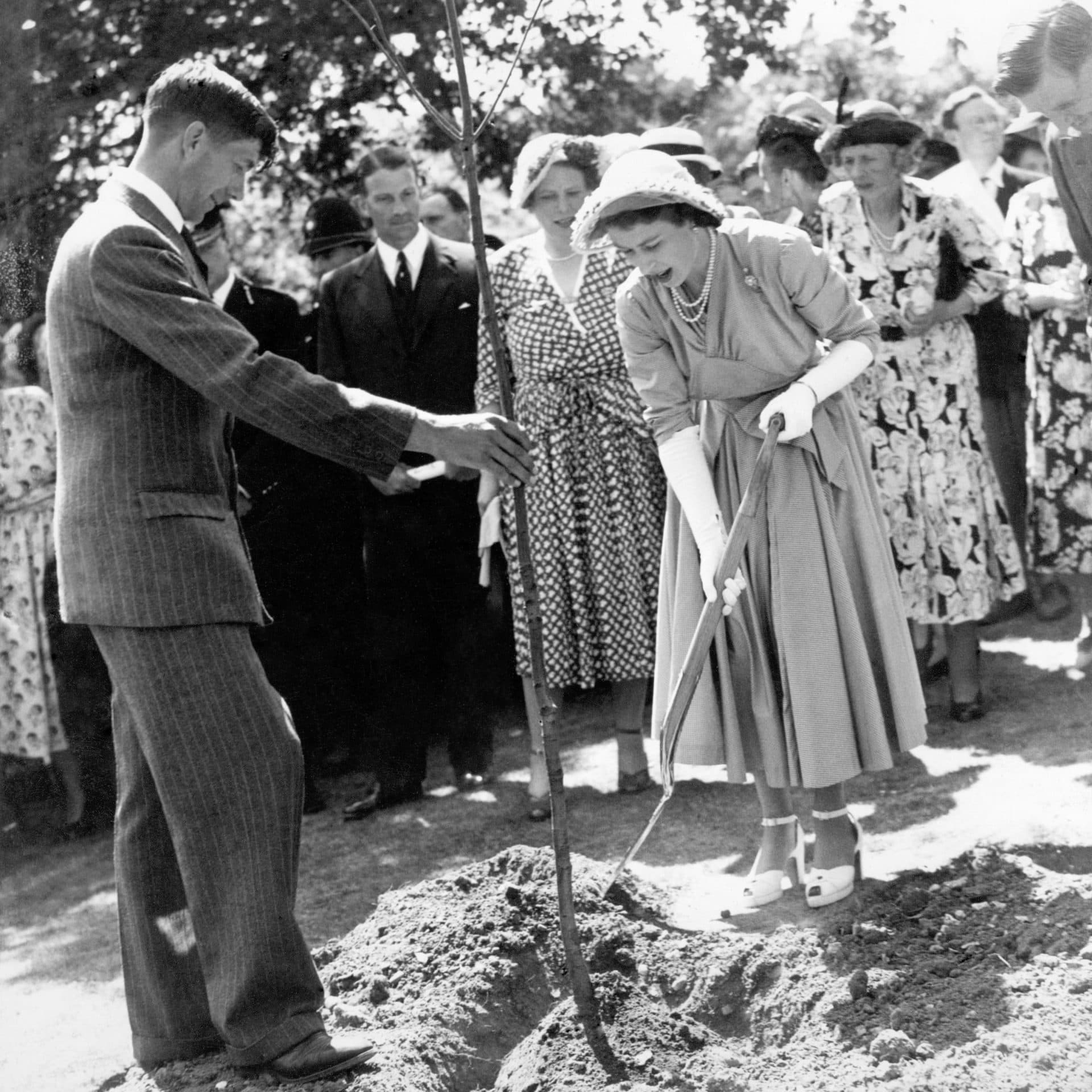 Princess Elizabeth opened a holiday centre for young people at Avon Tyrell, Hampshire, where some 800 members of youth clubs and parties of school children from surrounding villages waited to greet her. The holiday centre, a house given by Lord Manners to the National Association of Girls' Clubs and Mixed Clubs, houses 150 people and has been renovated at a cost of £20,000, the money being part of a South African gift of £95,000 to the Association. The Princess performed the opening ceremony on the terrace and planted an oak tree in the garden. She was greeted by Lord and Lady Manners, Mrs. Walter Elliot, Lady Sybil Middleton and Mr. Leif Egeland, High Commissioner for South Africa. Picture Shows: Princess Elizabeth wearing a pale green silk check dress, white shoes and white hat trimmed with flowers, planting a scarlet oak tree in the garden of the youth holiday centre which she opened at Avon Tyrell, Hampshire.